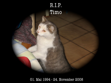 R.I.P. Timo - 01. Mai 1994 bis 24. November 2008